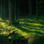 The green Hell / © Marciel Bartzik|BARTZIK.NET